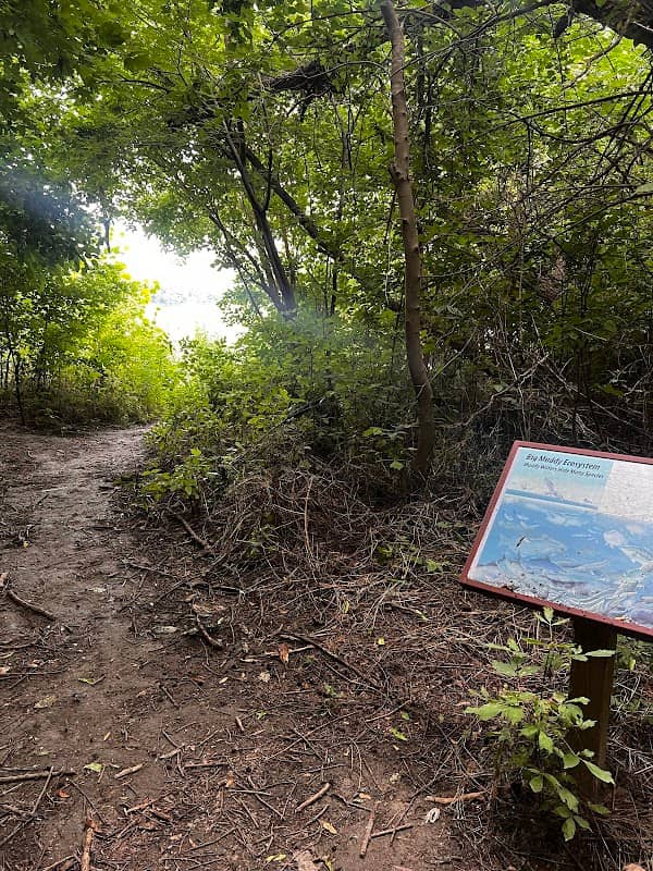 Jameson Island Unit - Image 1