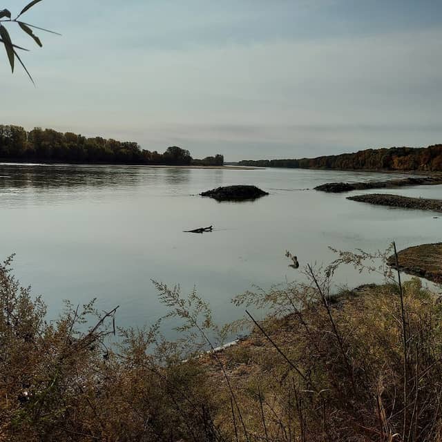 Jameson Island Unit - Image 2