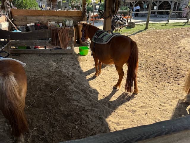 Ponyreitbahn - Image 1