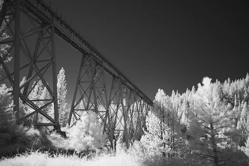 Clio Trestle - Image 2