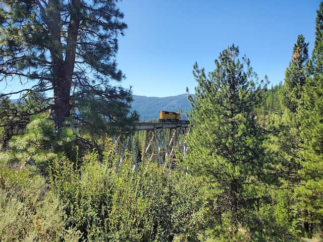 Clio Trestle - Image 3