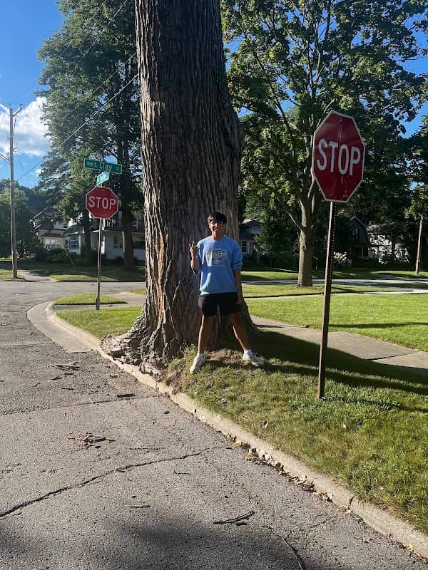DoubleStopSign - Image 1