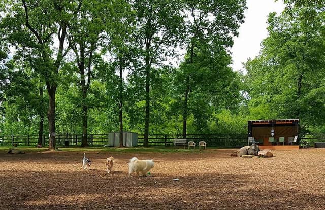 Vint Hill Dog Park - Image 1