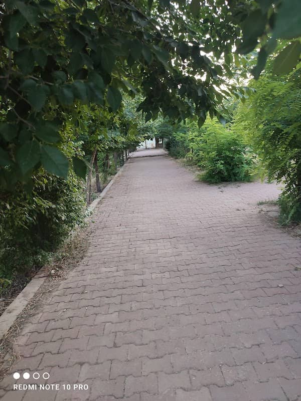 باخچەی ڕاپەڕین - Image 1