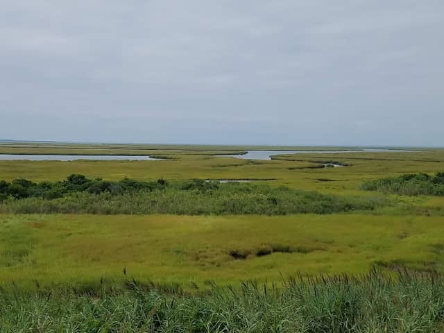 North Brigantine Natural Area - Image 2