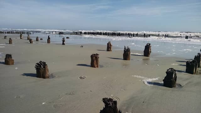 North Brigantine Natural Area - Image 1