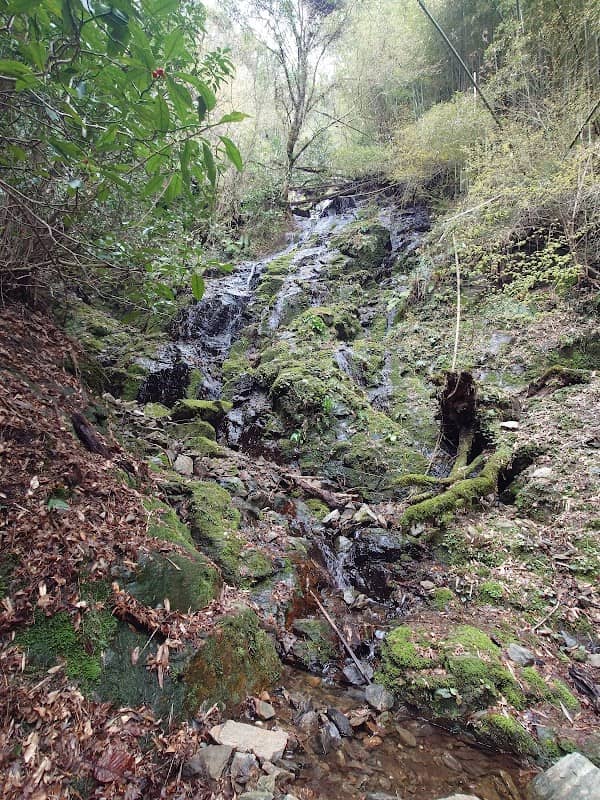 Gongen Waterfall - Image 1