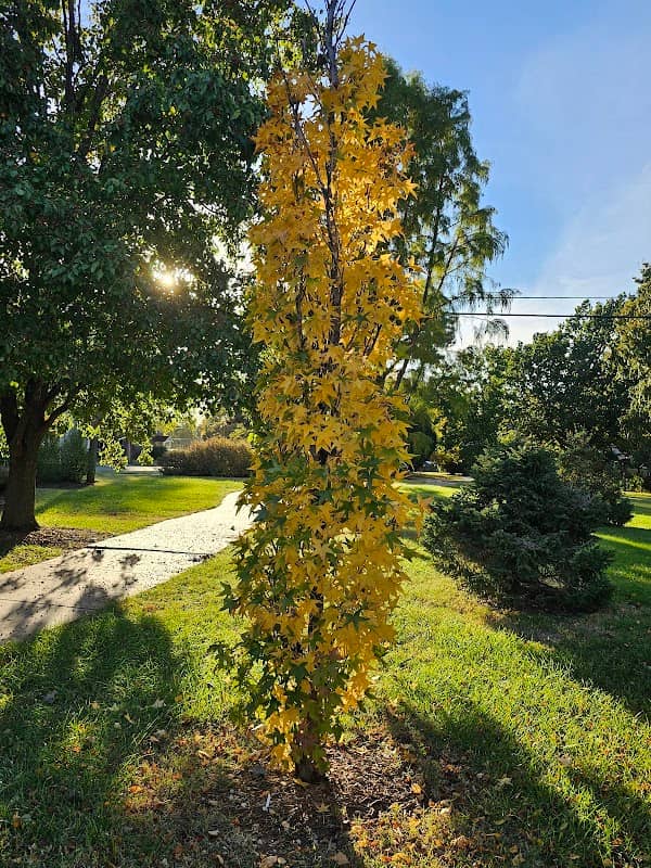 Midtown Arboretum - Image 2