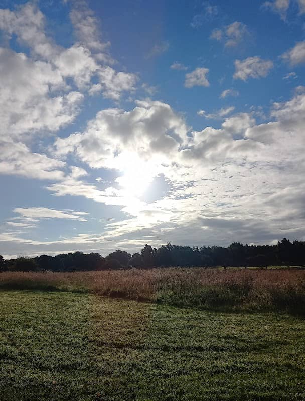 Ballyarnett Country Park - Image 2