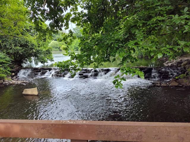 Bronx River Park - Image 5