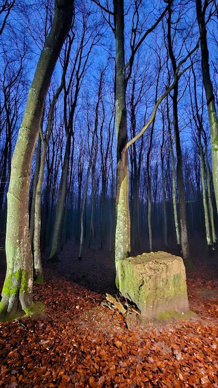 A bench by the trail - Image 2