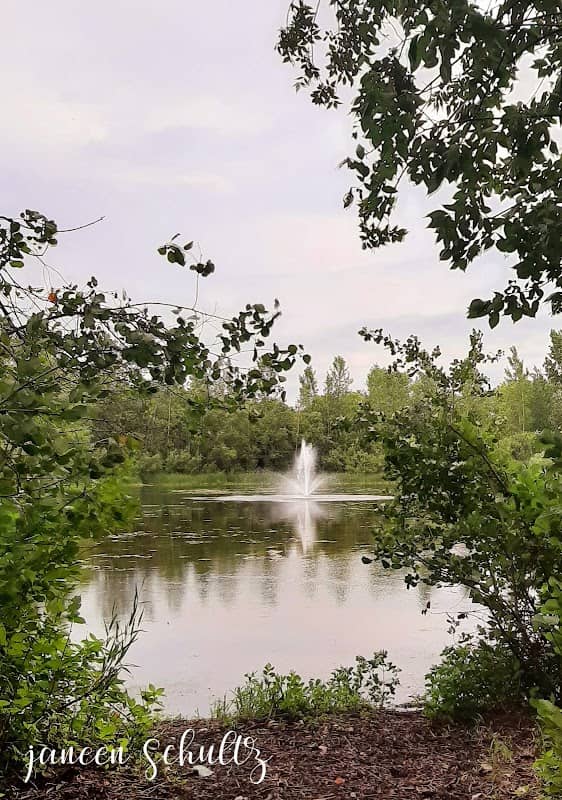 Stoneridge Park - Image 1
