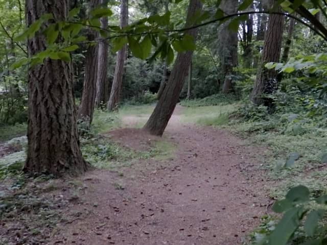 Bud Homan Park - Image 1