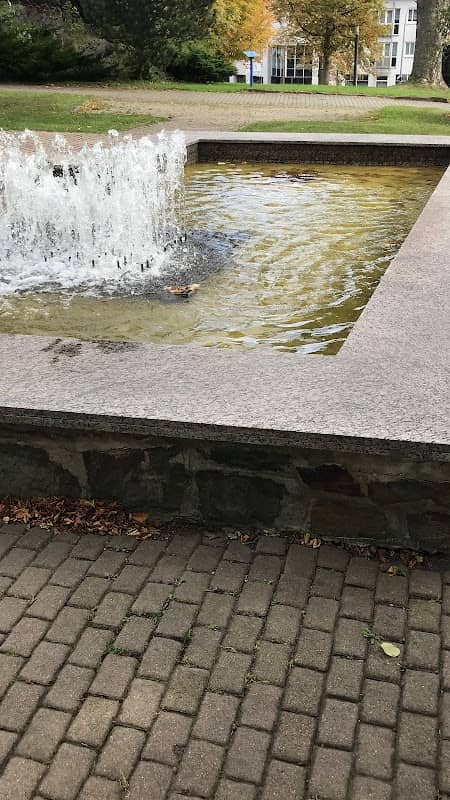 Wasserbrunnen Museum - Image 1
