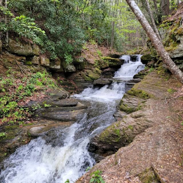 Pipestem Falls - Image 2