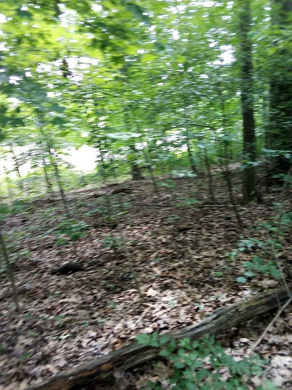 Indian Mounds Nature Trail - Image 2