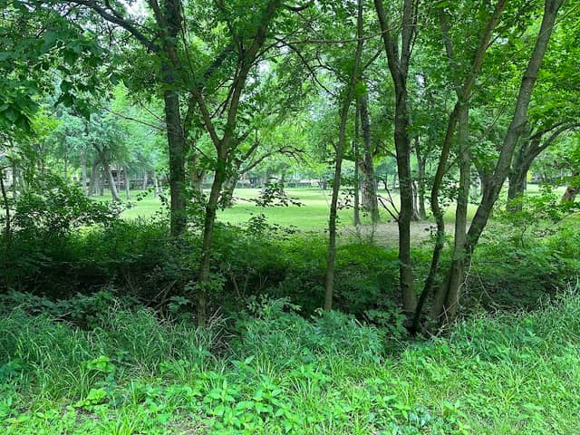 Connemara Meadow - Image 1