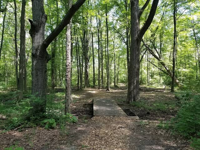 Hayes Park - Image 2