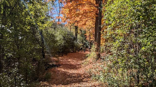 Hayes Park - Image 1