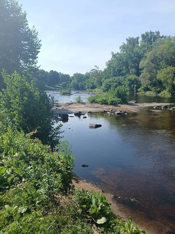 Willow Island Park - Image 2
