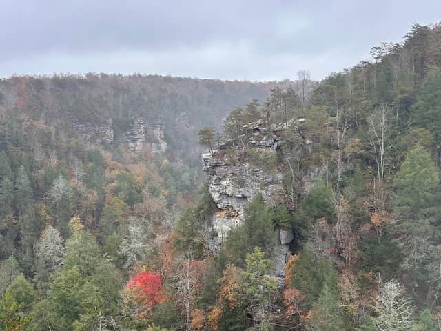 Fall Creek Falls - Image 3