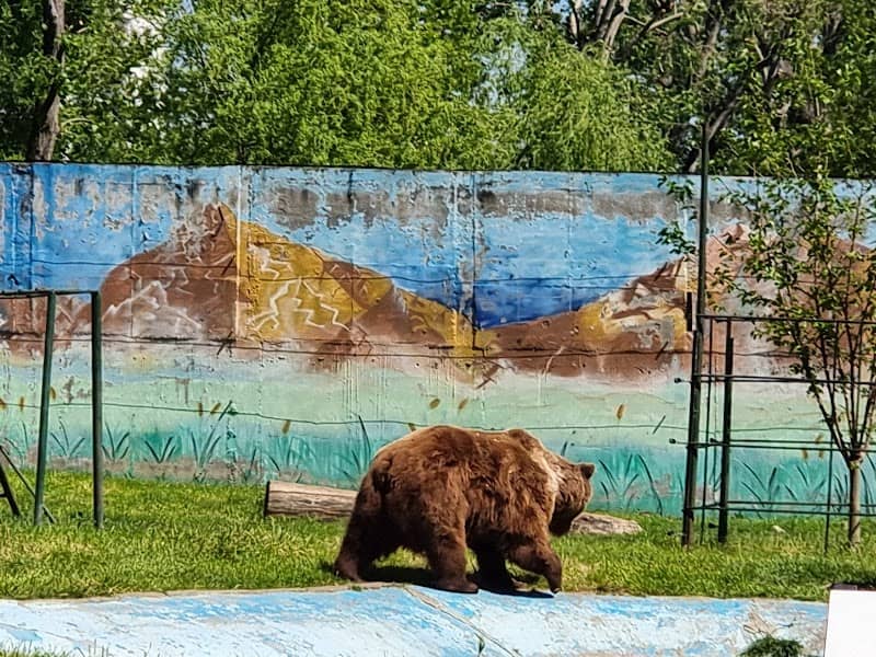 Zoo Targoviste - Image 1