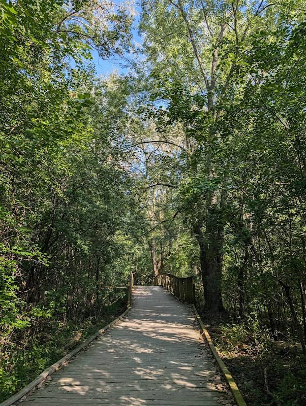 Pheasant Branch Conservancy - Image 1