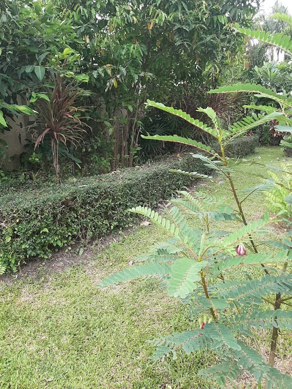 Buterfly park - Image 1