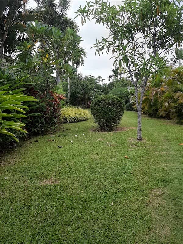 Buterfly park - Image 2
