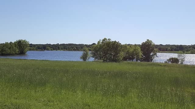 Coleman Park - Image 1