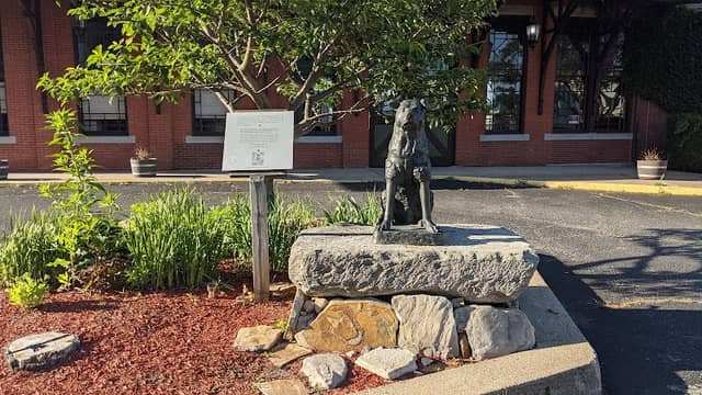 Statue Of Hachi - Image 2