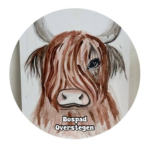 Bospad Overstegen - Image 1