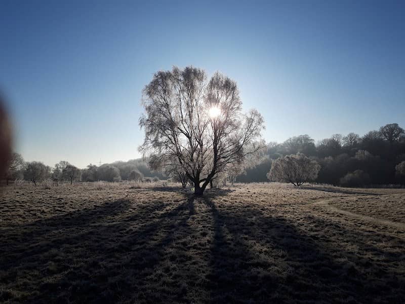 Ryton Willows - Image 1