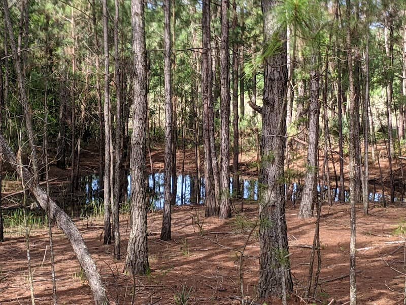 Lake Lucie Conservation Area - Image 2