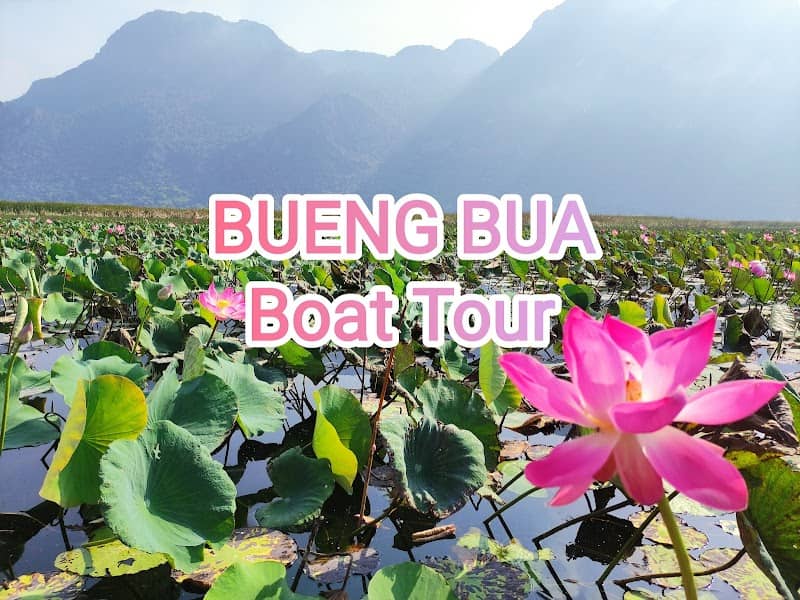 บึงบัว(Bueng Bua) - Image 1