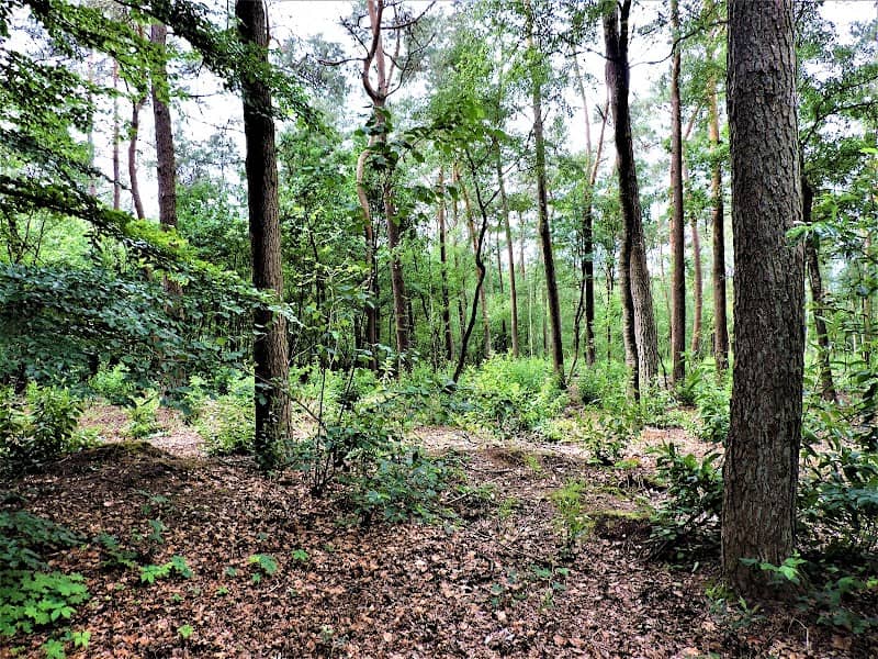 Roekel - Image 1