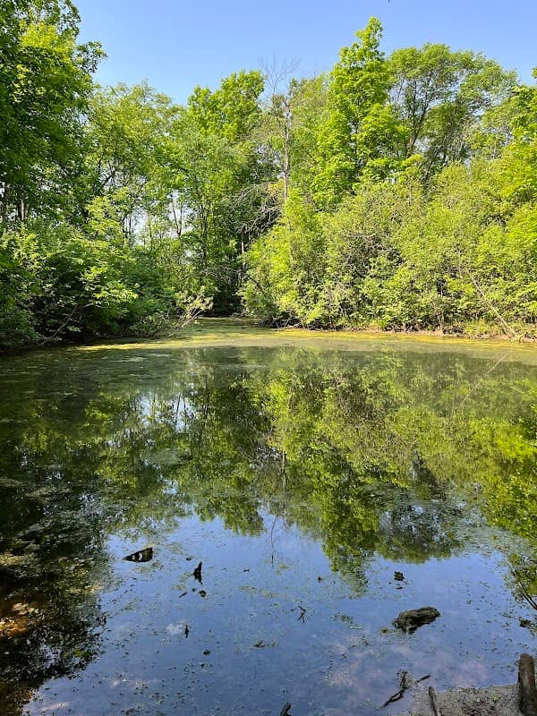 Hidden Pond Park - Image 2