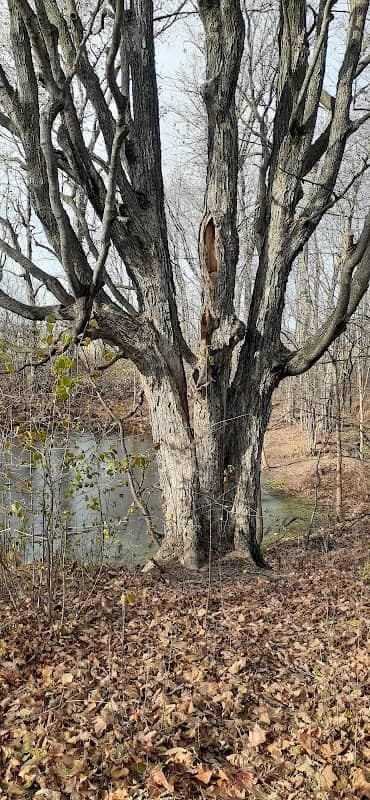 Hidden Pond Park - Image 1
