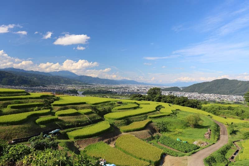 Obasute Rice Terraces - Image 1
