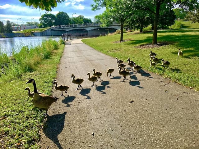 Silver Lake Park - Image 2