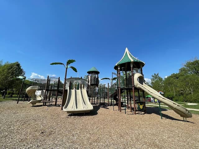 Community Field - Image 2