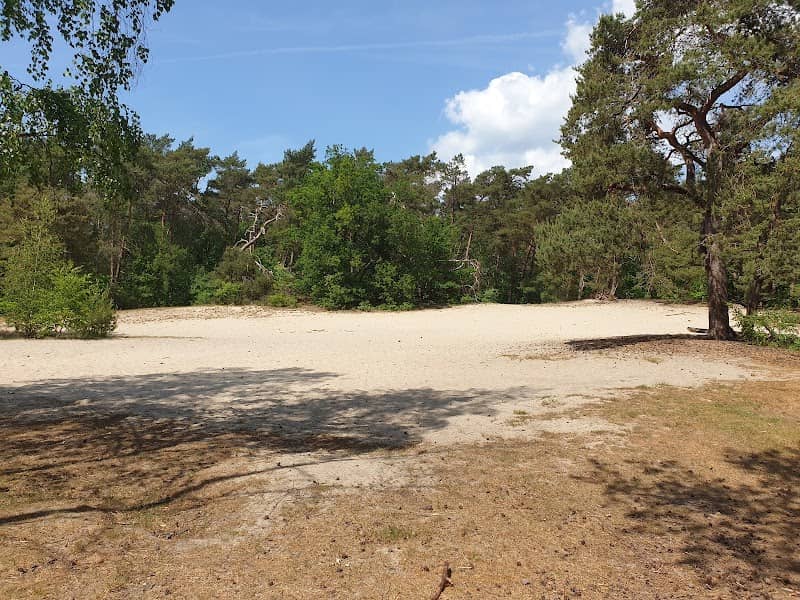 Panbos - Utrechtslandschap - Image 2
