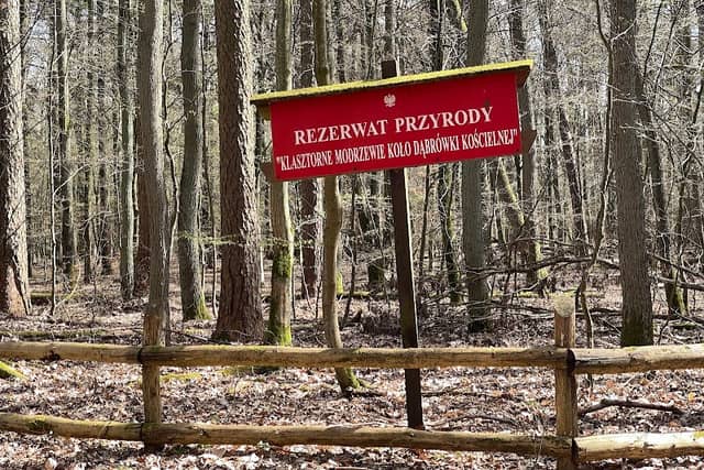 Monastery Larchs Nature Reserve - Image 1