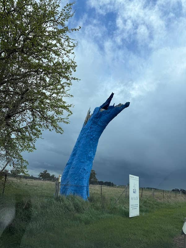 Blue Tree Coomoora - Image 1