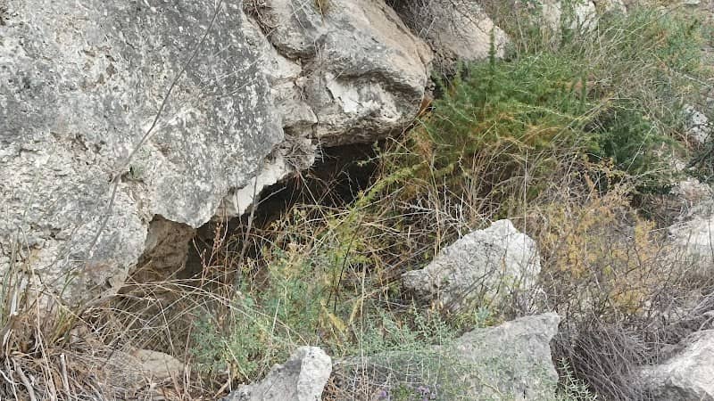 Tombe a grotticella - Image 1