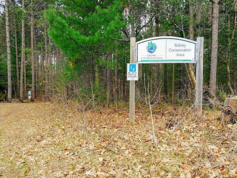 Sidney Conservation Area - Image 2