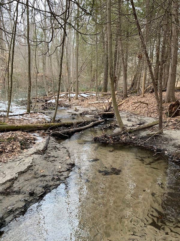 Sidney Conservation Area - Image 1