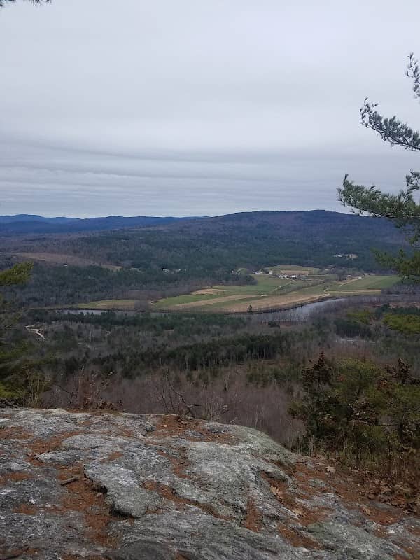 Mount Will Town Forest - Image 1