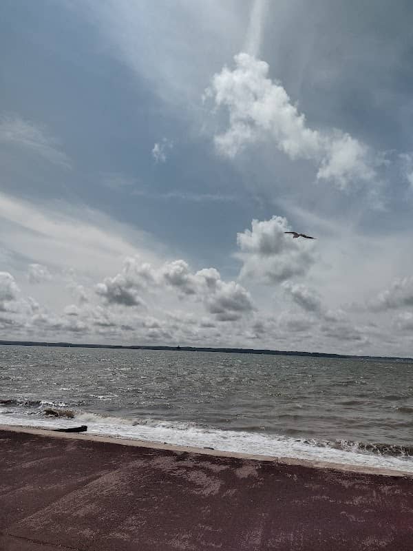 Solent beach - Image 2