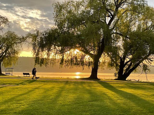 Stewart Park - Image 2